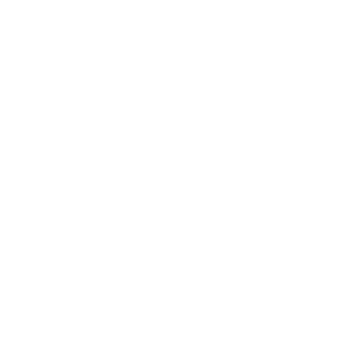 Bus Icon weiß